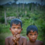 Indonesia Peatland Forest