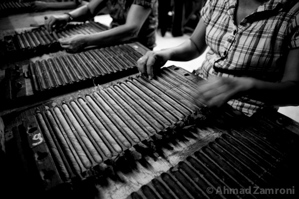 Cigar