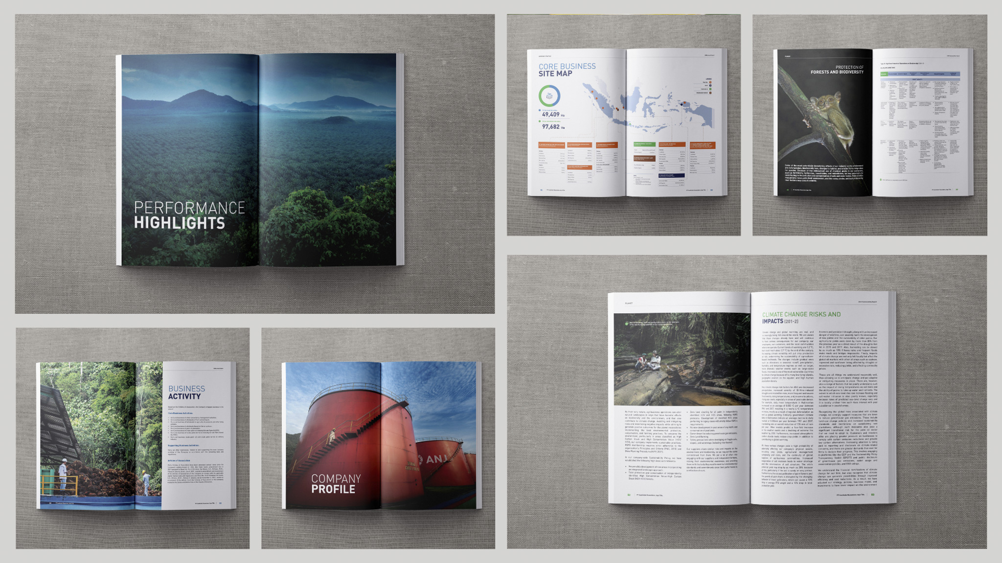 Annual and Sustainability Report by Photographer Ahmad Zamroni