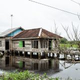 Peatland Life-Jambi Rumah Seponjen Kumpeh-06479