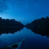 Peatland Life-Jambi Taman Nasional Berbak-02043