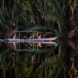 Peatland Life, West Borneo